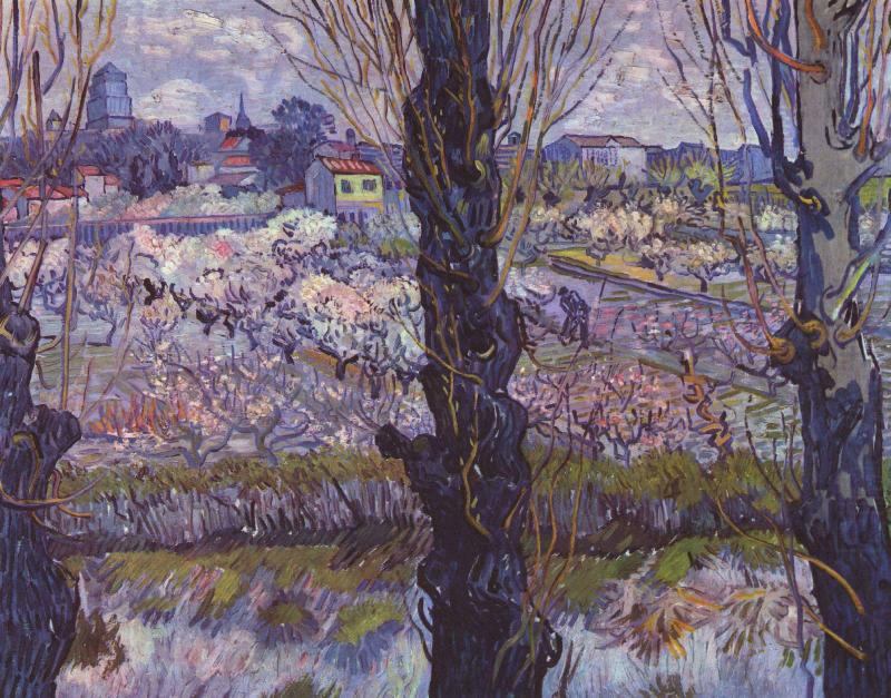 Flowering Orchards, Vincent Van Gogh